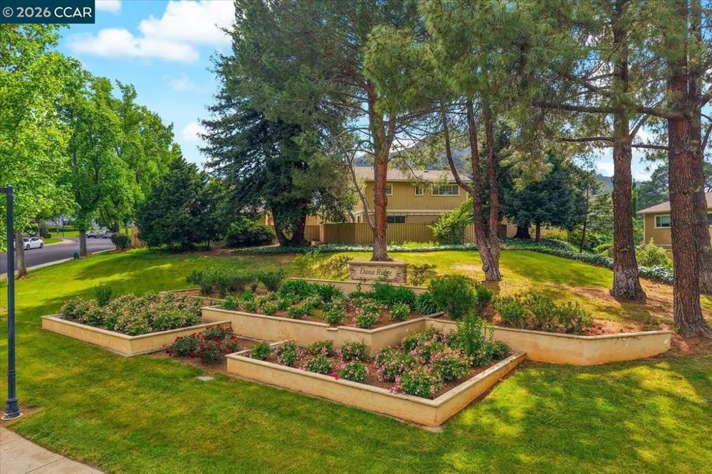 599 Mt Dell Dr Clayton, CA 94517