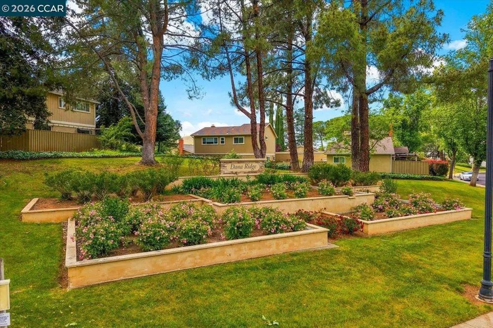 599 Mt Dell Dr Clayton, CA 94517
