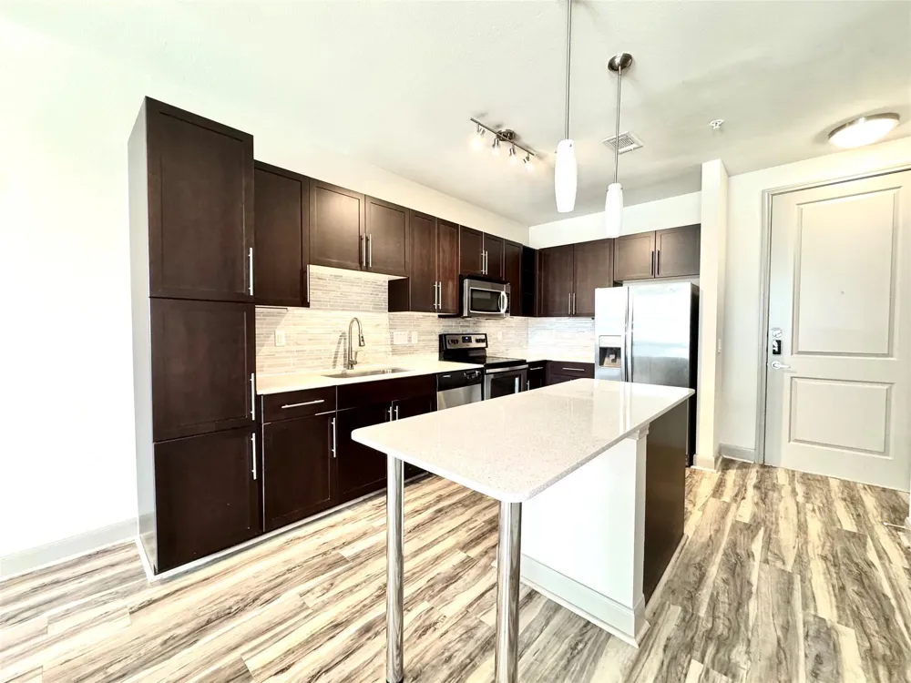 3788 Richmond St Avenue #1255 Houston, TX 77046