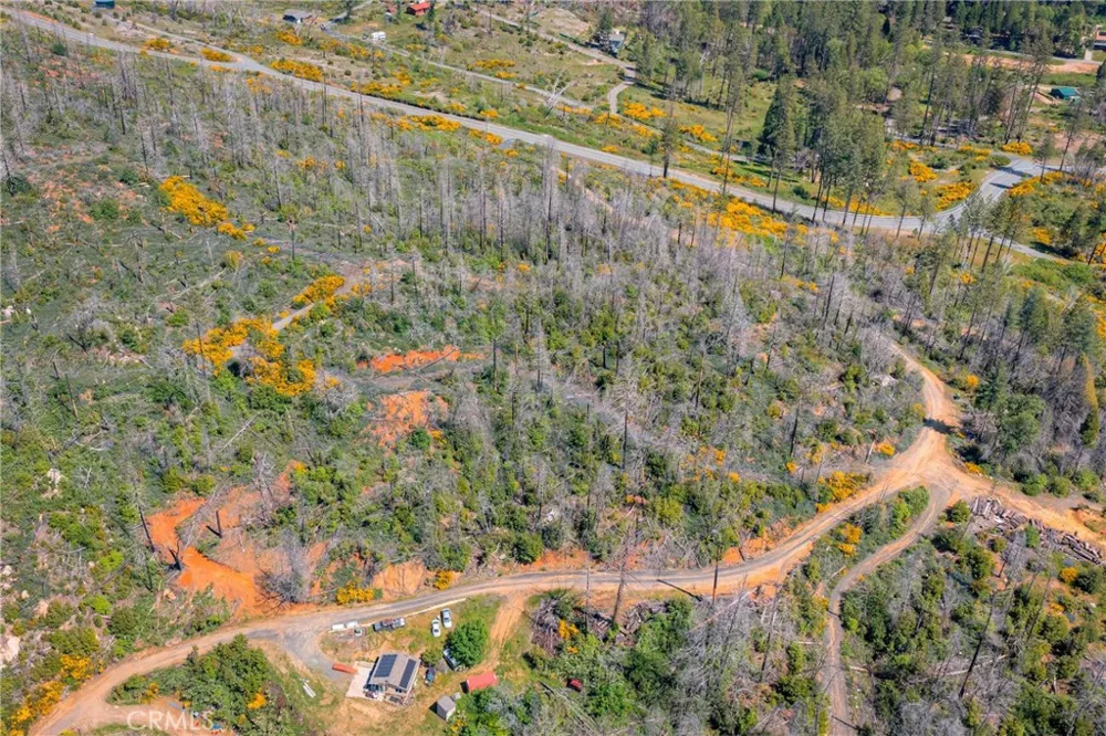 Pavlik Pines Road Berry Creek, CA 95916