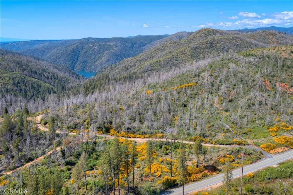 Pavlik Pines Road Berry Creek, CA 95916