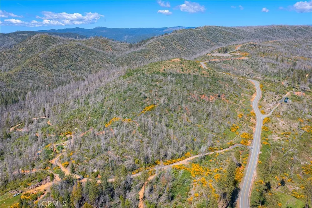 Pavlik Pines Road Berry Creek, CA 95916