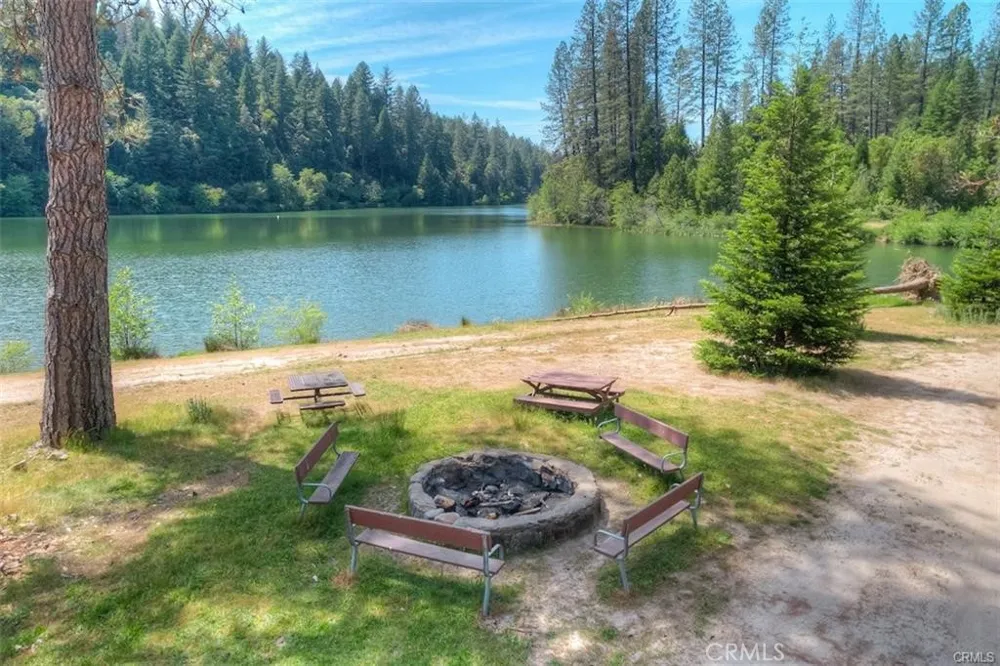Pavlik Pines Berry Creek, CA 95916