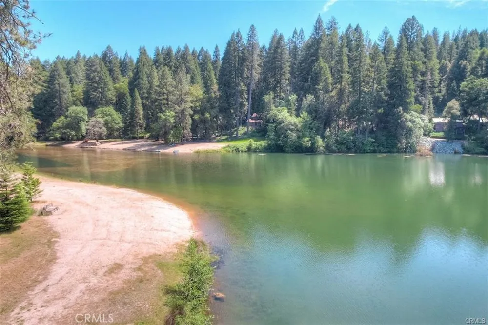 Pavlik Pines Berry Creek, CA 95916