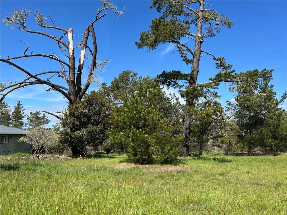 2540 Malvern Street Cambria, CA 93428