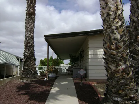 30710 Palmetto Palm