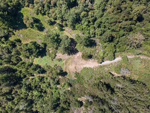 Big Basin Way