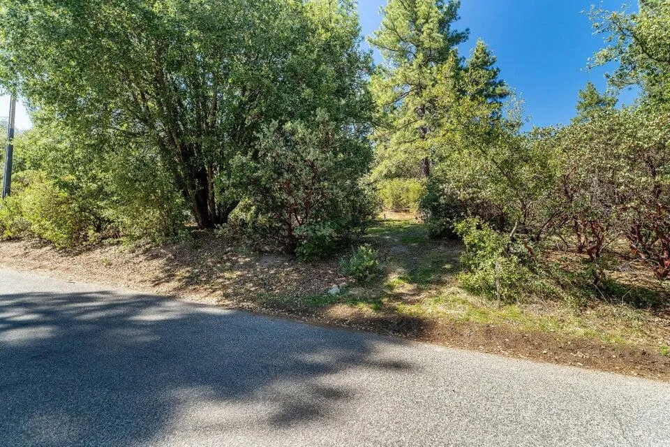 Deer Foot Lane Idyllwild, CA 92549
