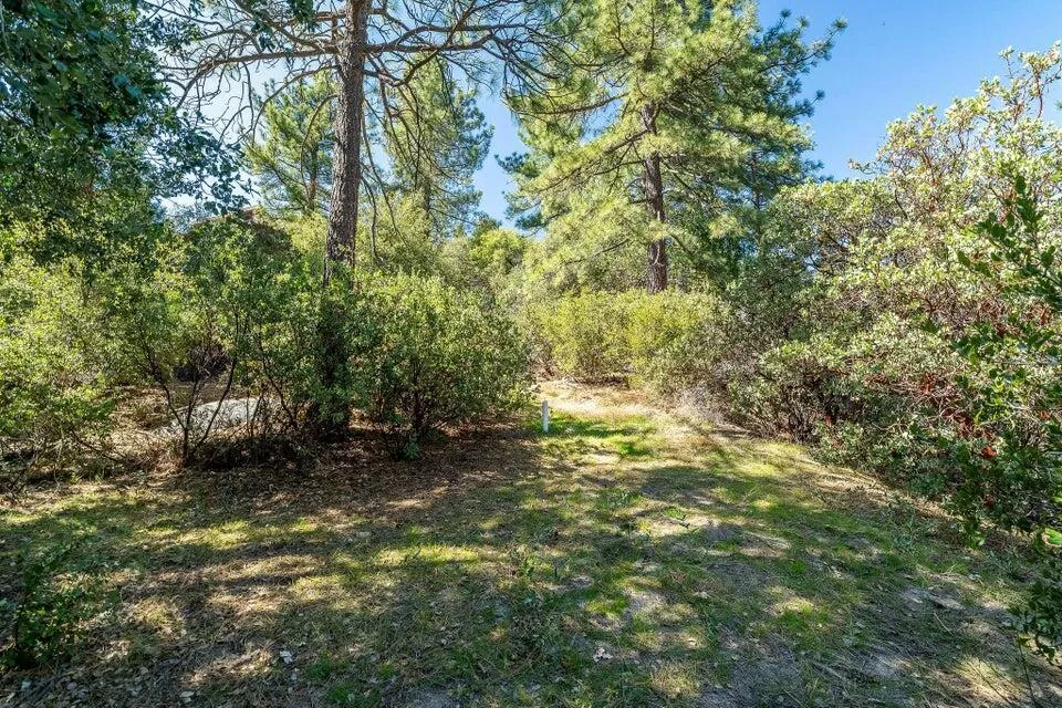 Deer Foot Lane Idyllwild, CA 92549