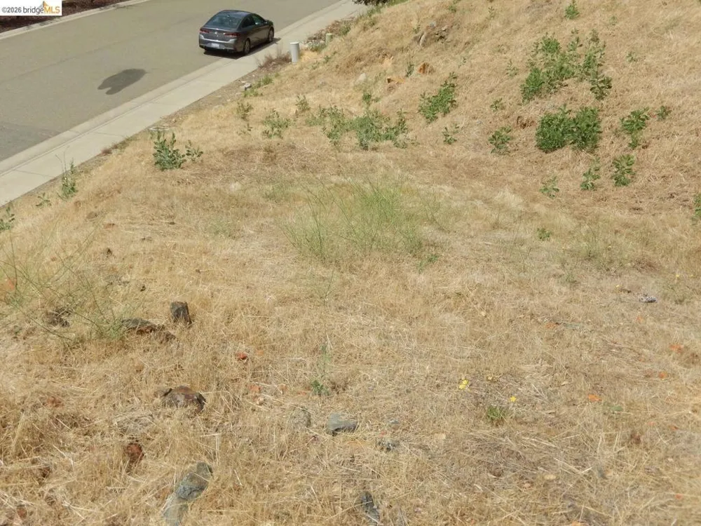 512 Crazy Horse CT Cameron Park, CA 95682