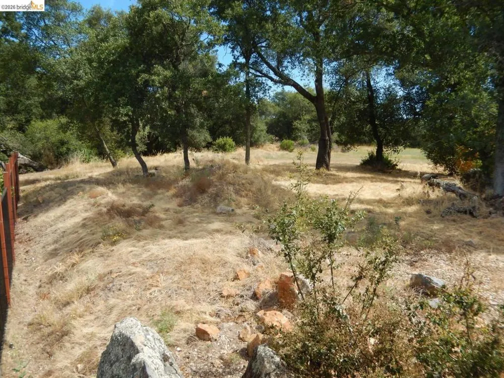 512 Crazy Horse CT Cameron Park, CA 95682