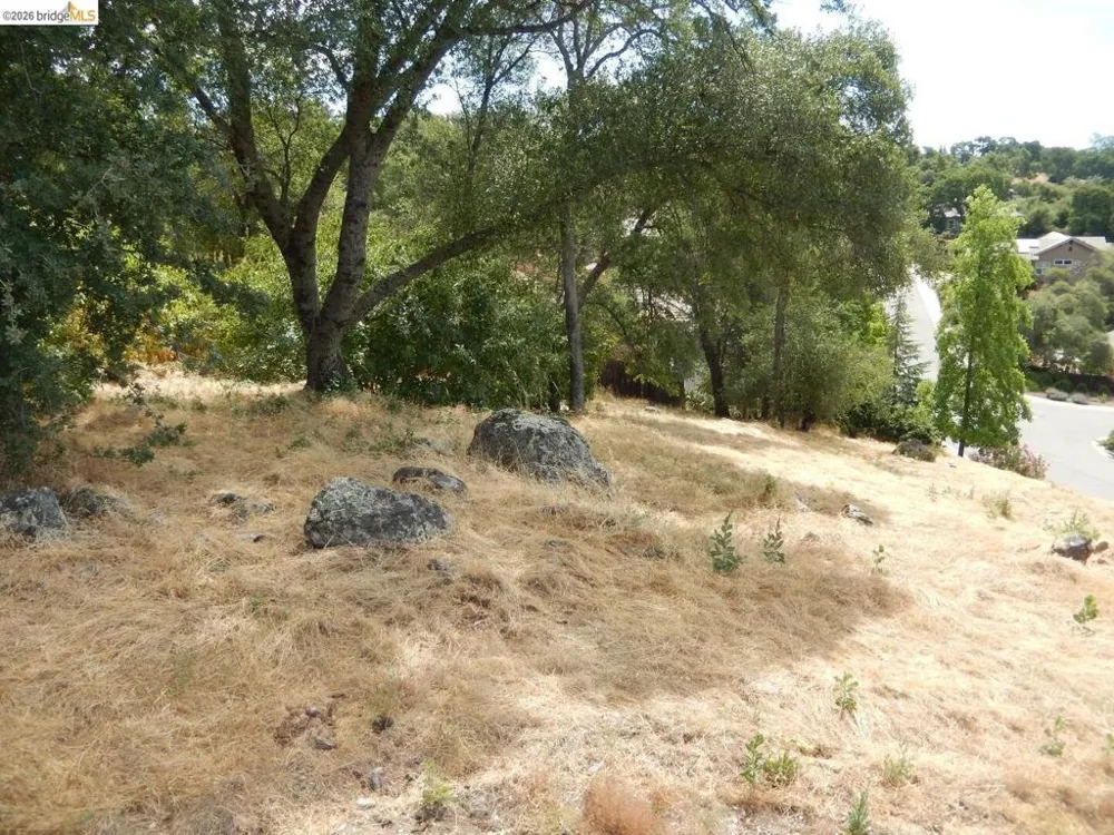 512 Crazy Horse CT Cameron Park, CA 95682