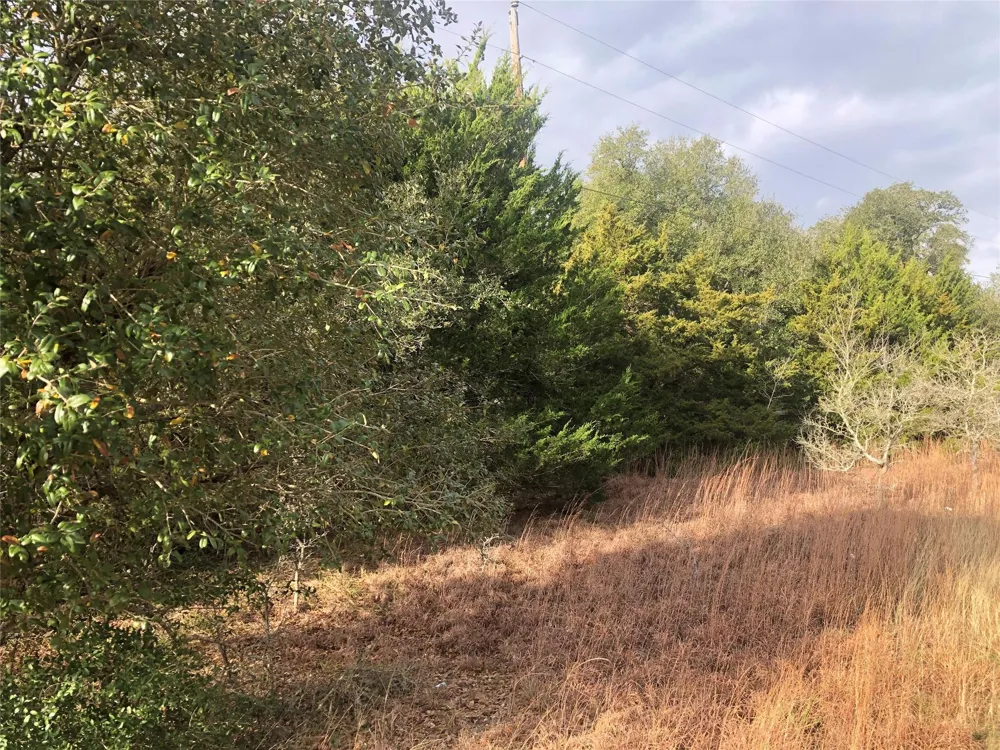 Sierra Road Brenham, TX 77833