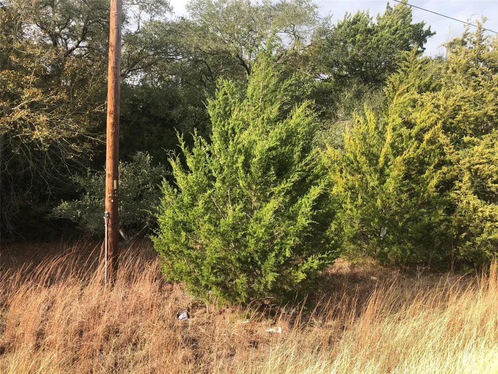 Sierra Road Brenham, TX 77833