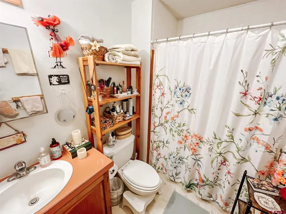 1709 W Tomichi Avenue Gunnison, CO 81230