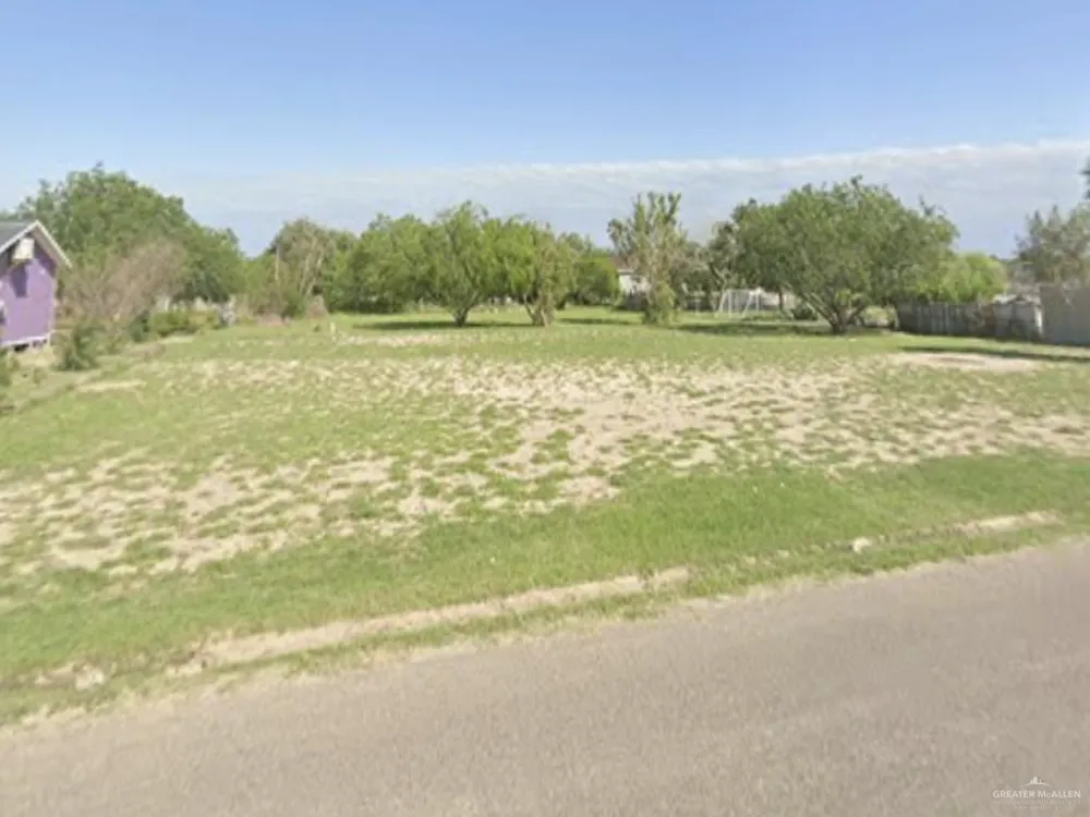 TBD Washington Palm Drive Penitas, TX 78576