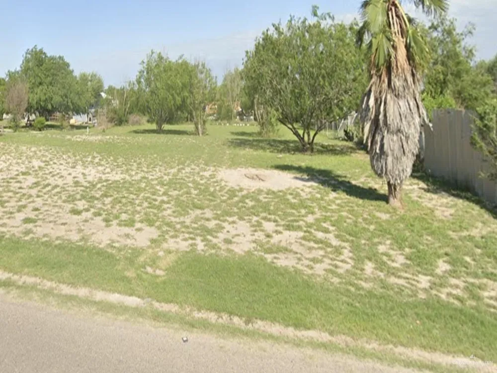 TBD Washington Palm Drive Penitas, TX 78576