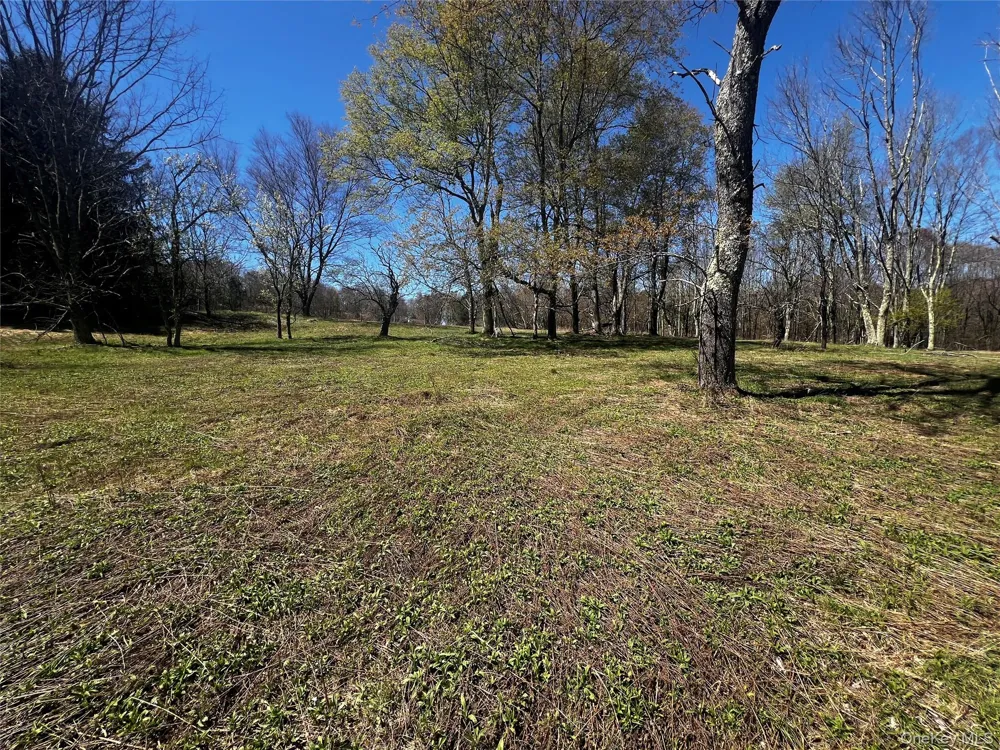 93 Cal Stewart Road Bethel, NY 12720