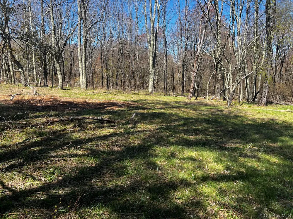 93 Cal Stewart Road Bethel, NY 12720