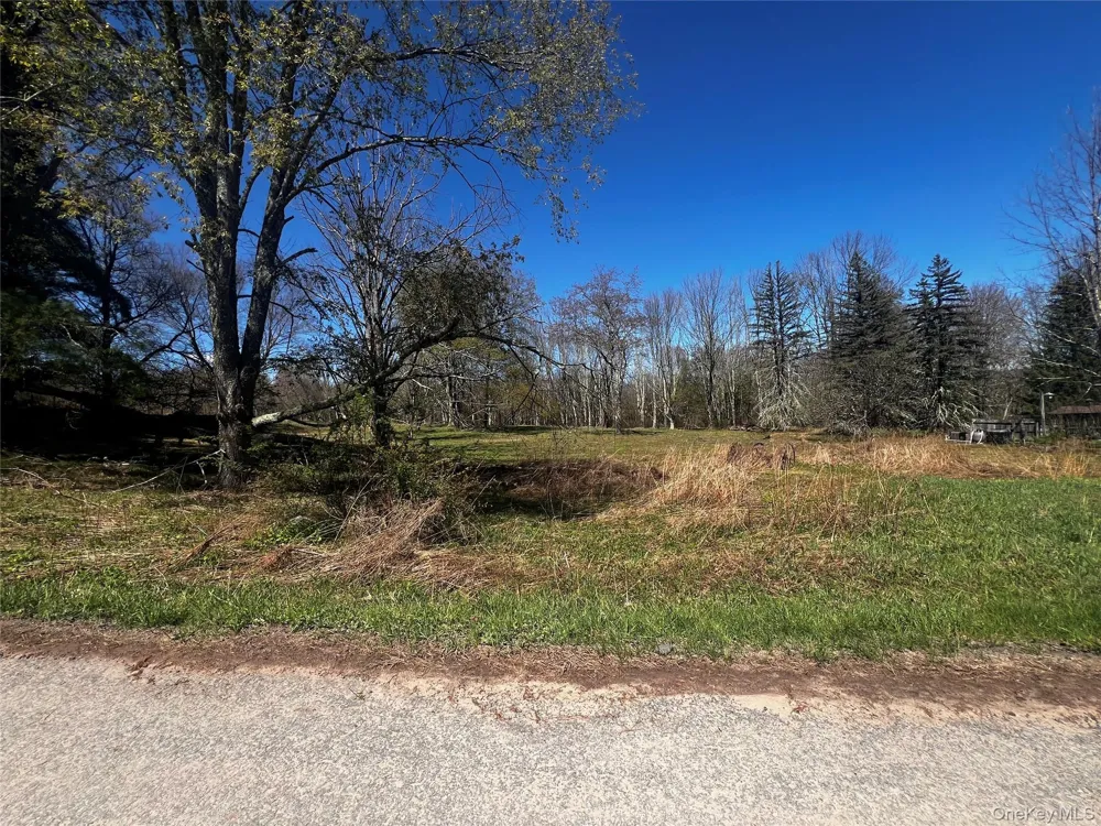 93 Cal Stewart Road Bethel, NY 12720