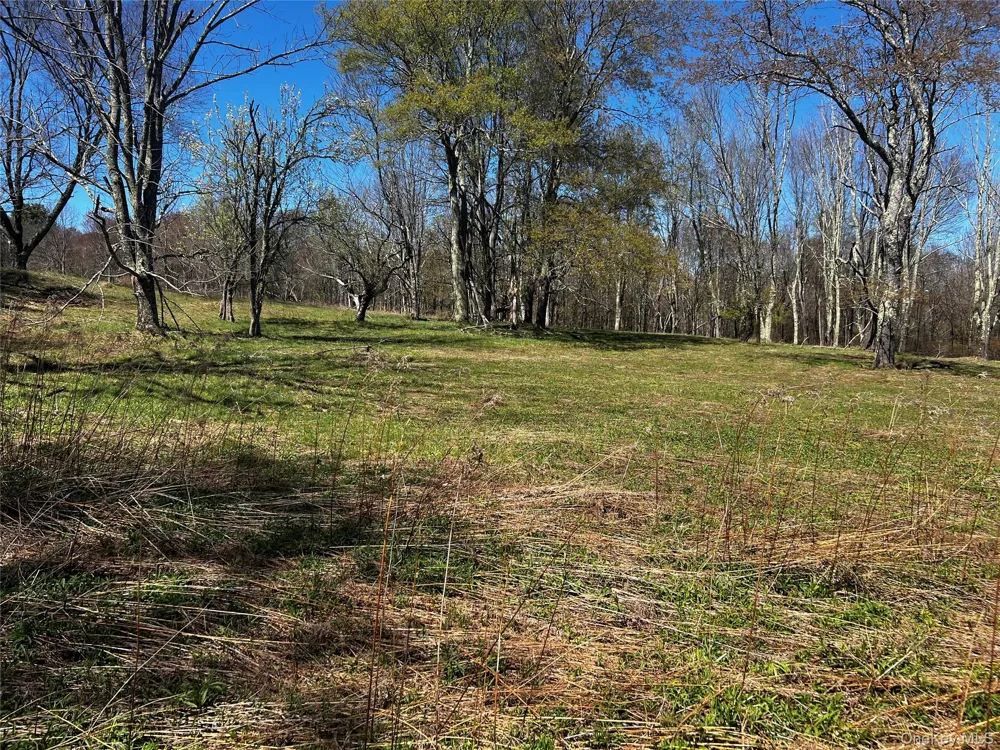 93 Cal Stewart Road Bethel, NY 12720