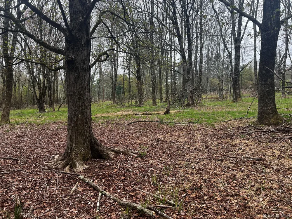 93 Cal Stewart Road Bethel, NY 12720