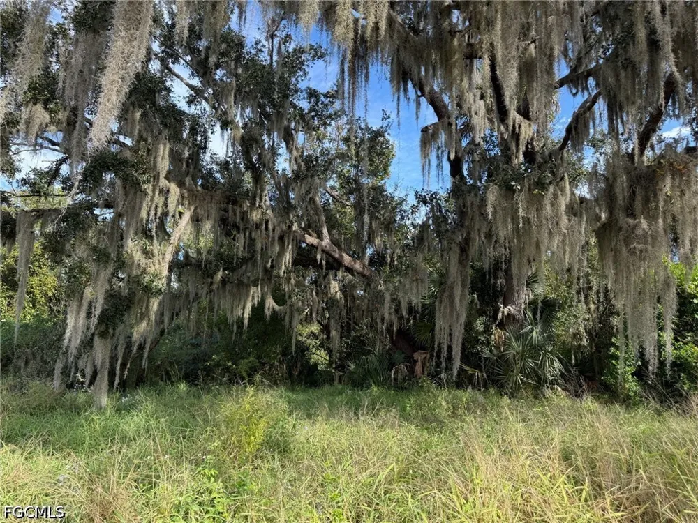 S Florida Avenue Wauchula, FL 33873