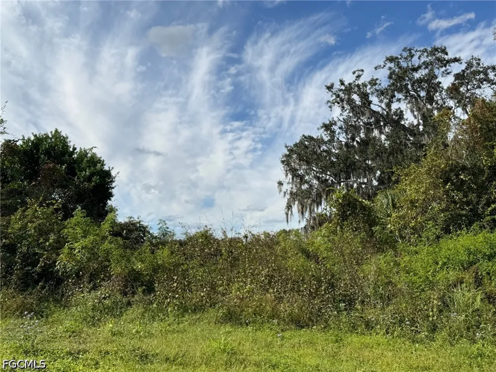 S Florida Avenue Wauchula, FL 33873