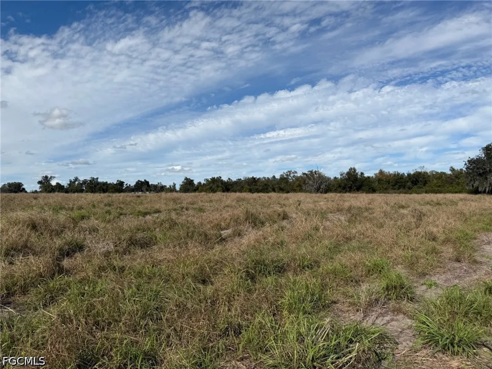 S Florida Avenue Wauchula, FL 33873
