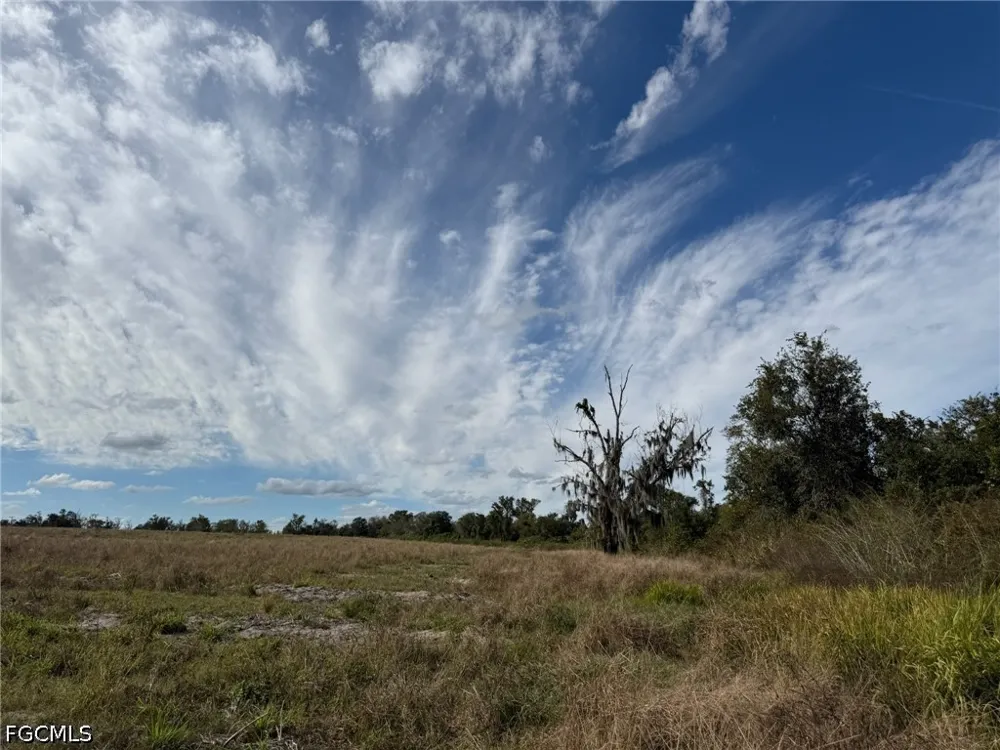 S Florida Avenue Wauchula, FL 33873