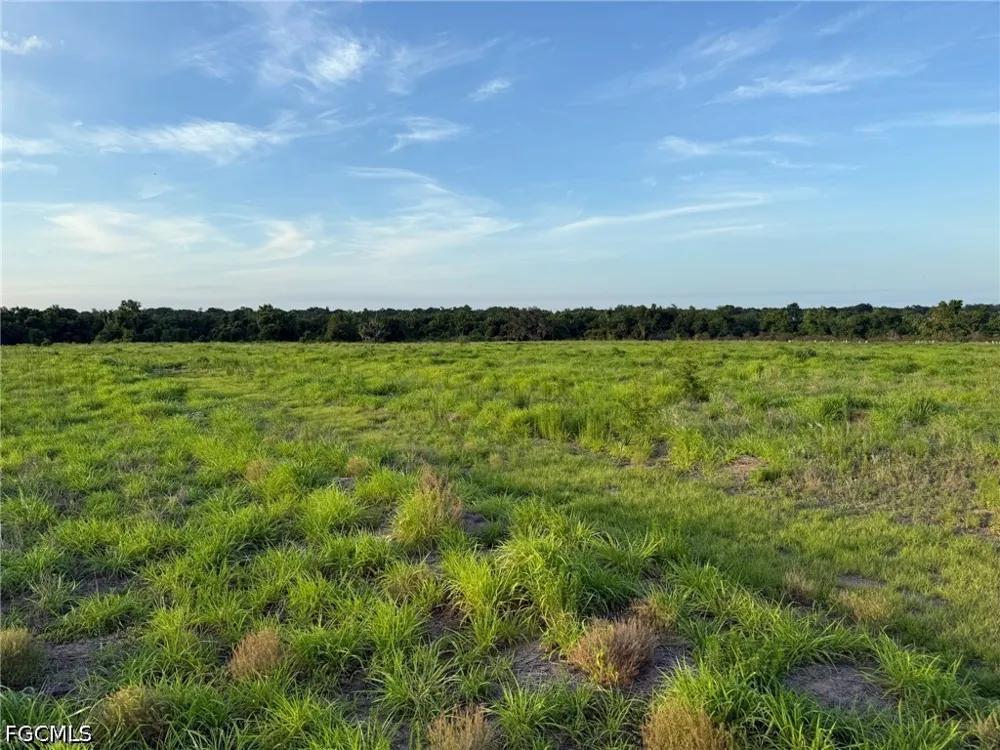 S Florida Avenue Wauchula, FL 33873