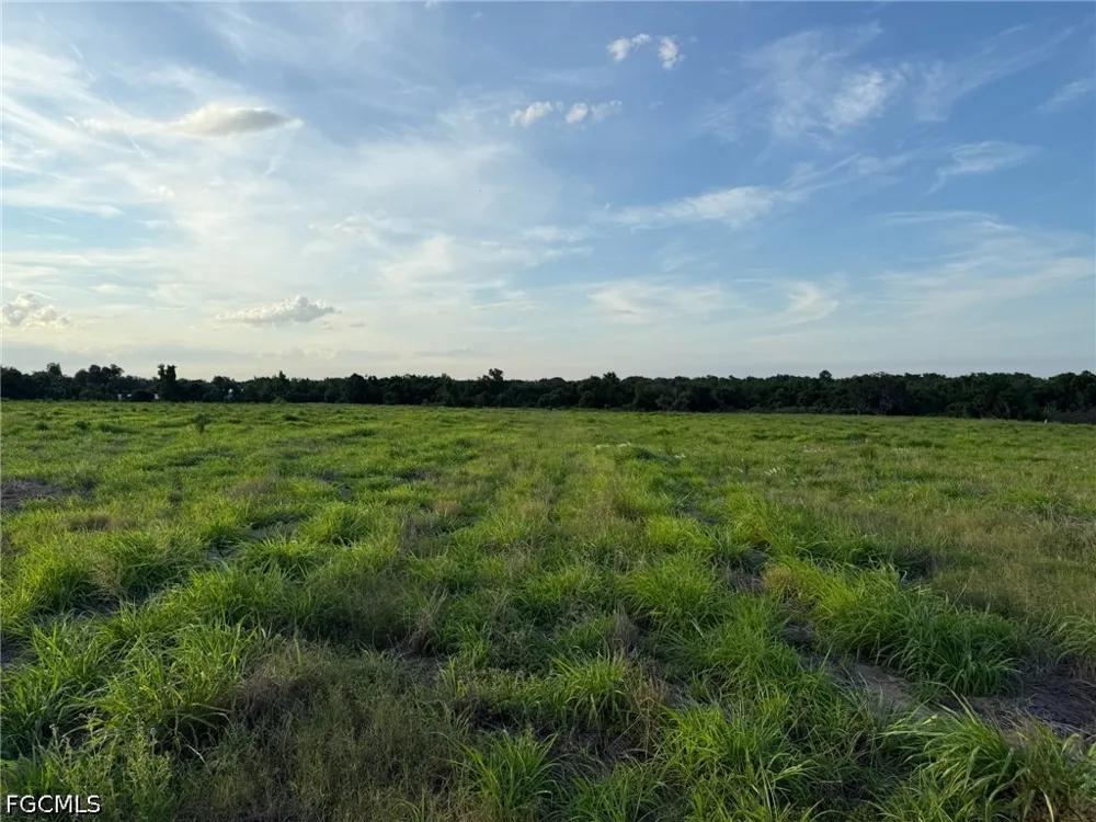 S Florida Avenue Wauchula, FL 33873