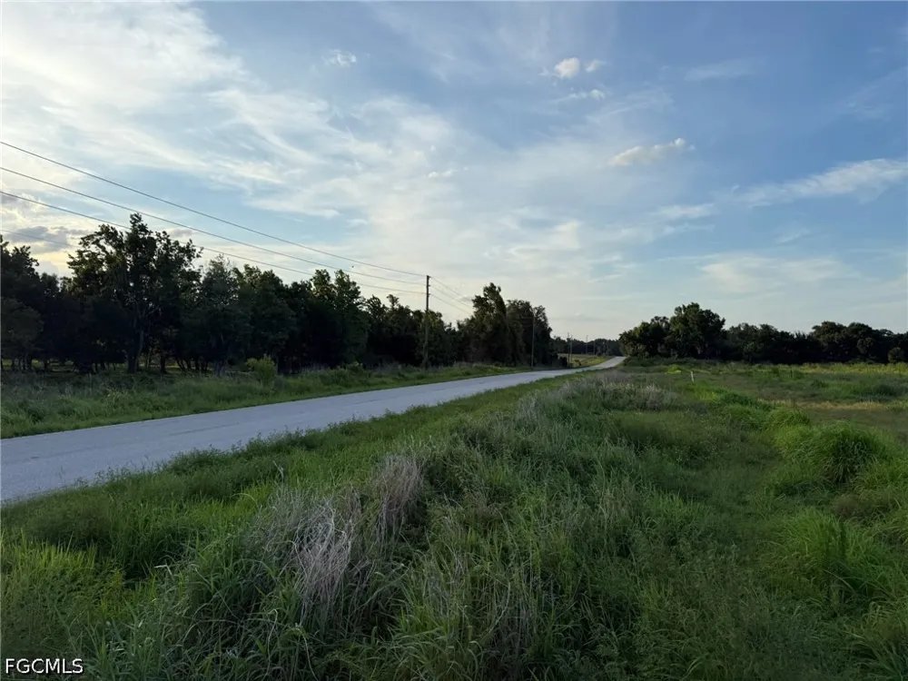S Florida Avenue Wauchula, FL 33873