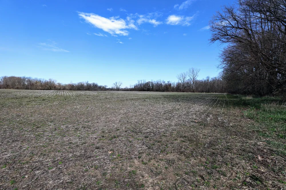 CR 352 Decatur, MI 49045