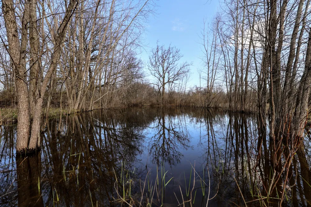 CR 352 Decatur, MI 49045