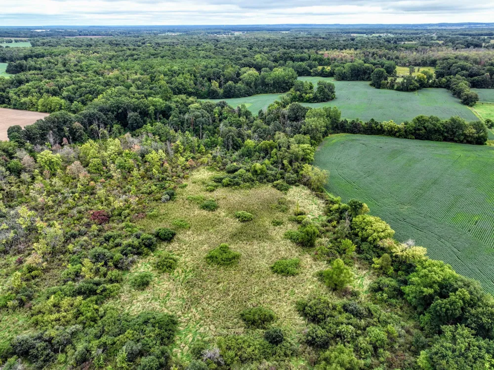 CR 352 Decatur, MI 49045