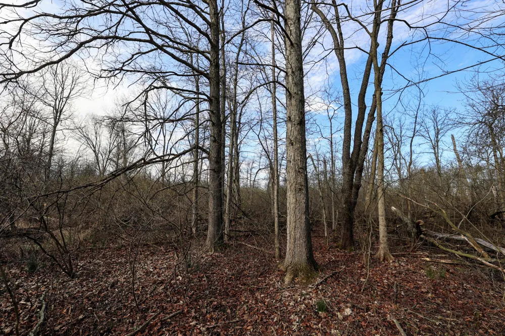 CR 352 Decatur, MI 49045