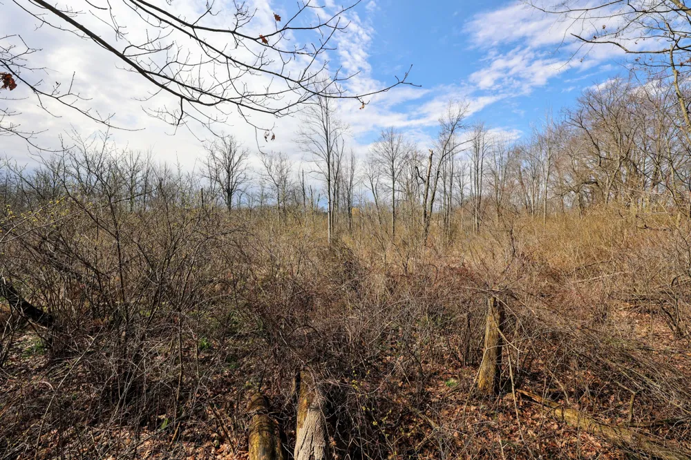 CR 352 Decatur, MI 49045