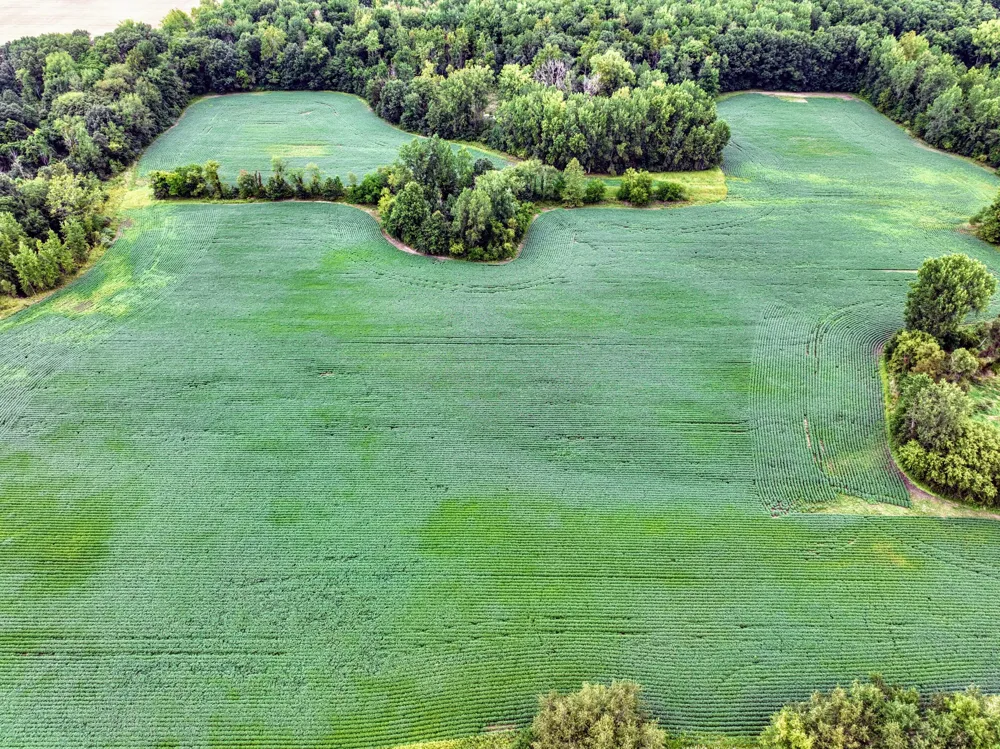 CR 352 Decatur, MI 49045