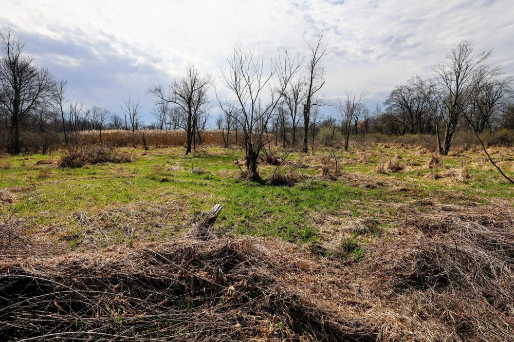 CR 352 Decatur, MI 49045