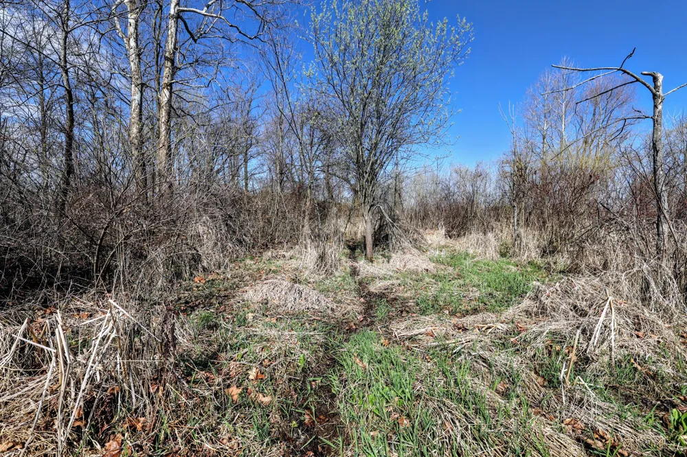 CR 352 Decatur, MI 49045