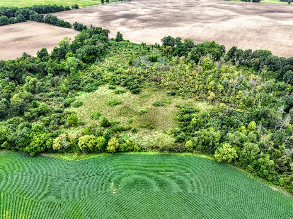 CR 352 Decatur, MI 49045