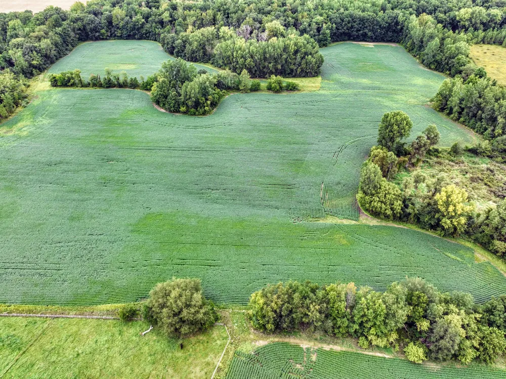 CR 352 Decatur, MI 49045