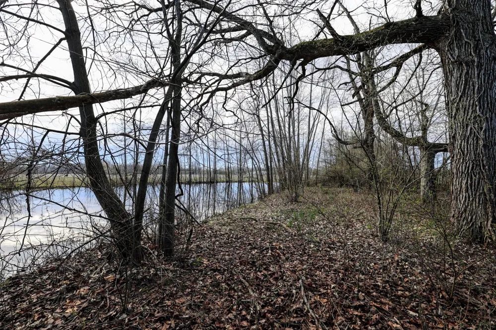 CR 352 Decatur, MI 49045