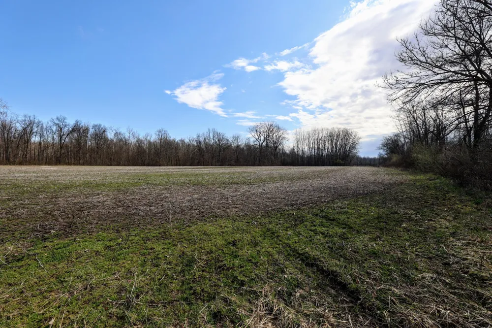 CR 352 Decatur, MI 49045