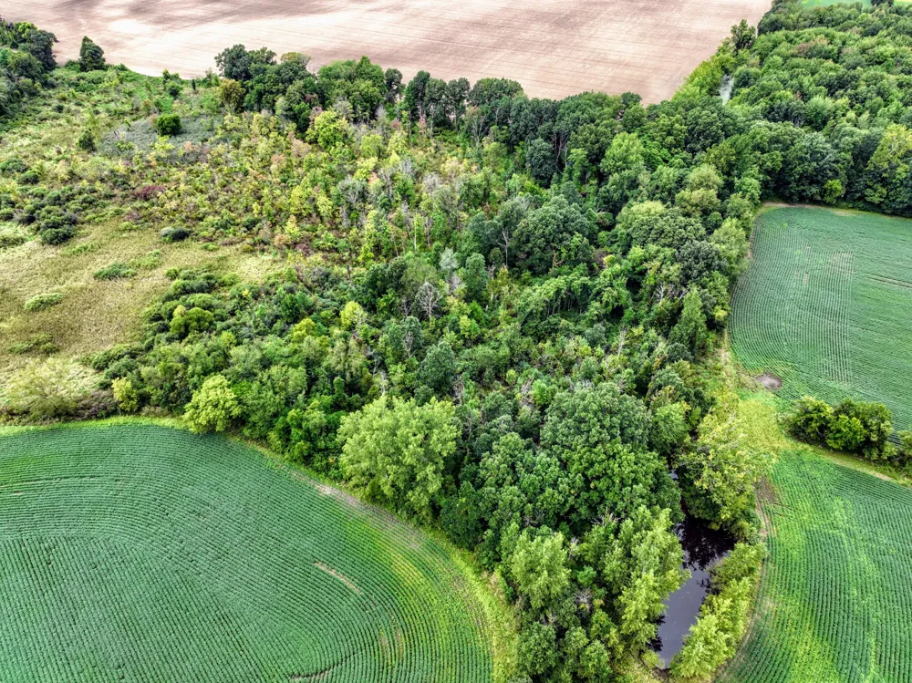 CR 352 Decatur, MI 49045