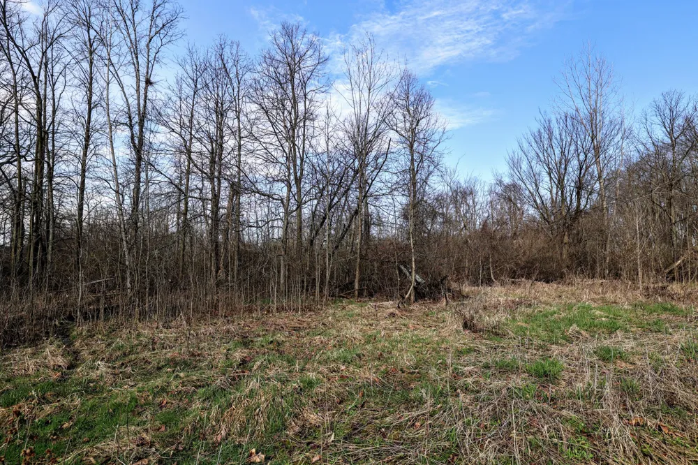 CR 352 Decatur, MI 49045
