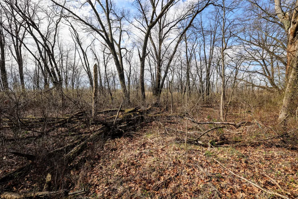 CR 352 Decatur, MI 49045