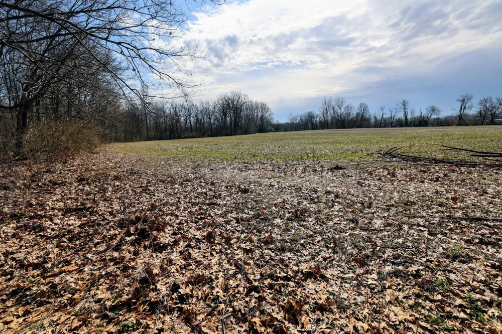 CR 352 Decatur, MI 49045