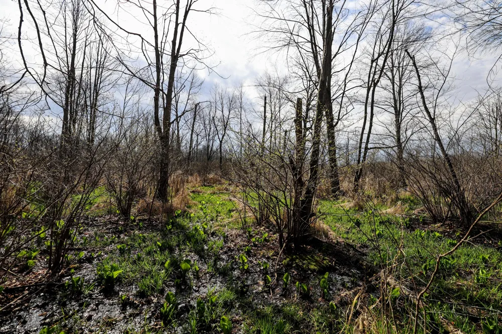 CR 352 Decatur, MI 49045
